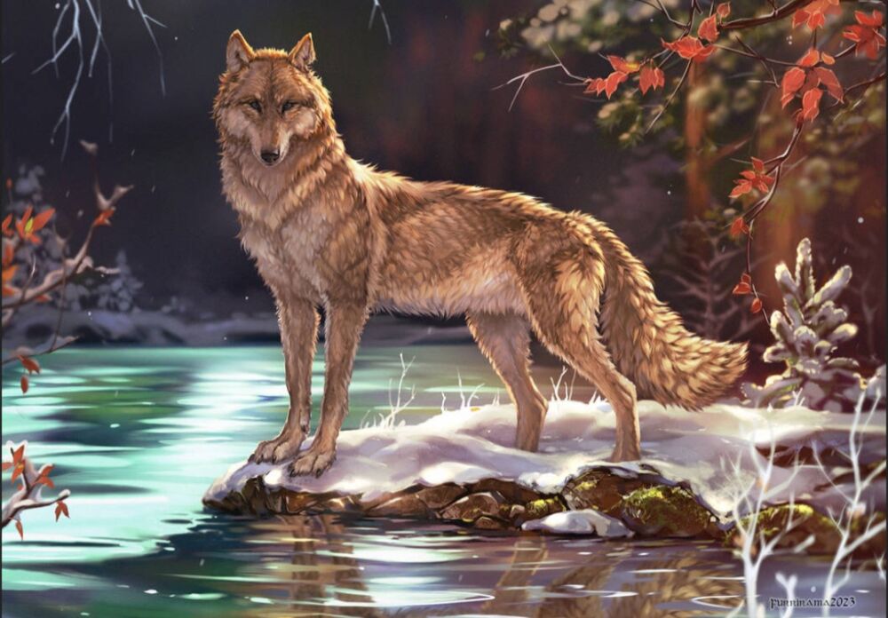 Wolf Photo